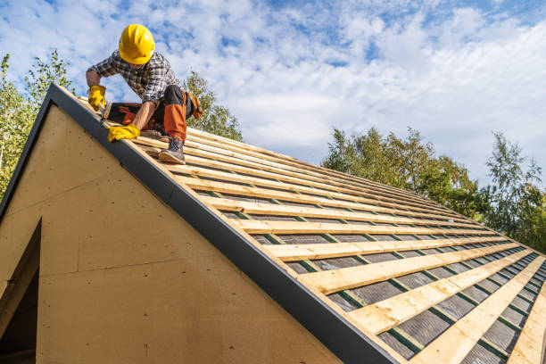 Best Roof Gutter Cleaning  in Royal Pines, NC