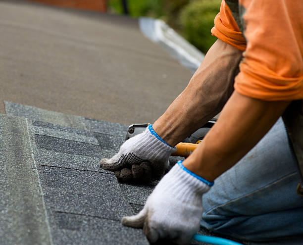 Best Roof Maintenance Services  in Royal Pines, NC
