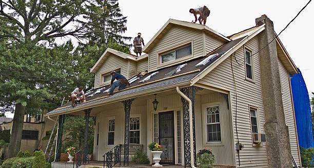 Best Shingle Roofing Installation  in Royal Pines, NC