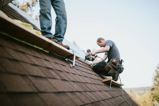 Best Metal Roofing Contractor  in Royal Pines, NC