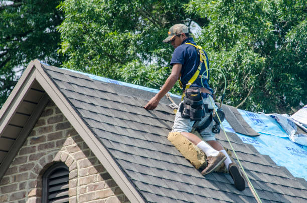 Best New Roof Installation  in Royal Pines, NC